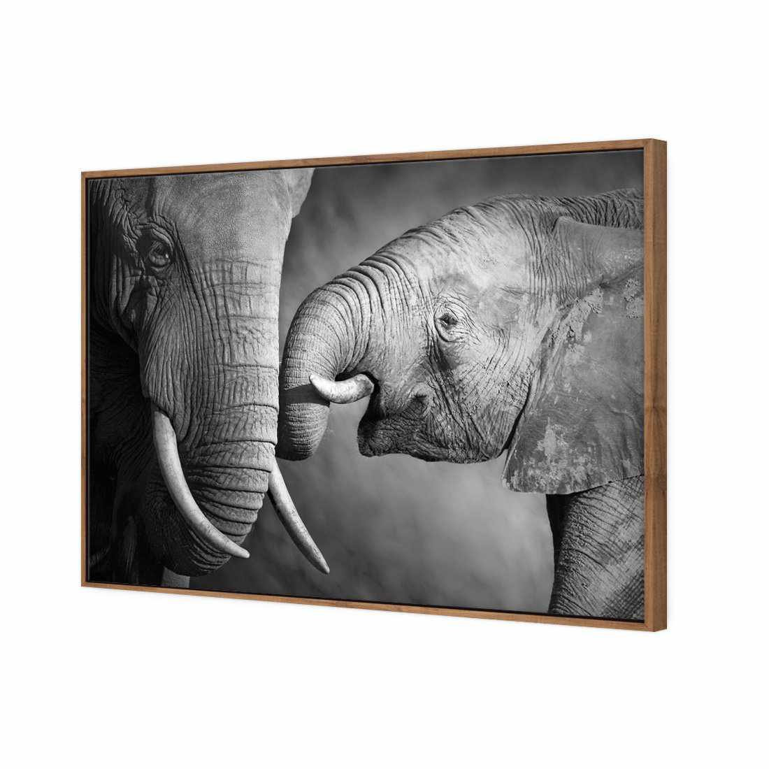 Elephant And Mum, B&W | Standard Canvas | Floating Frame | Natural