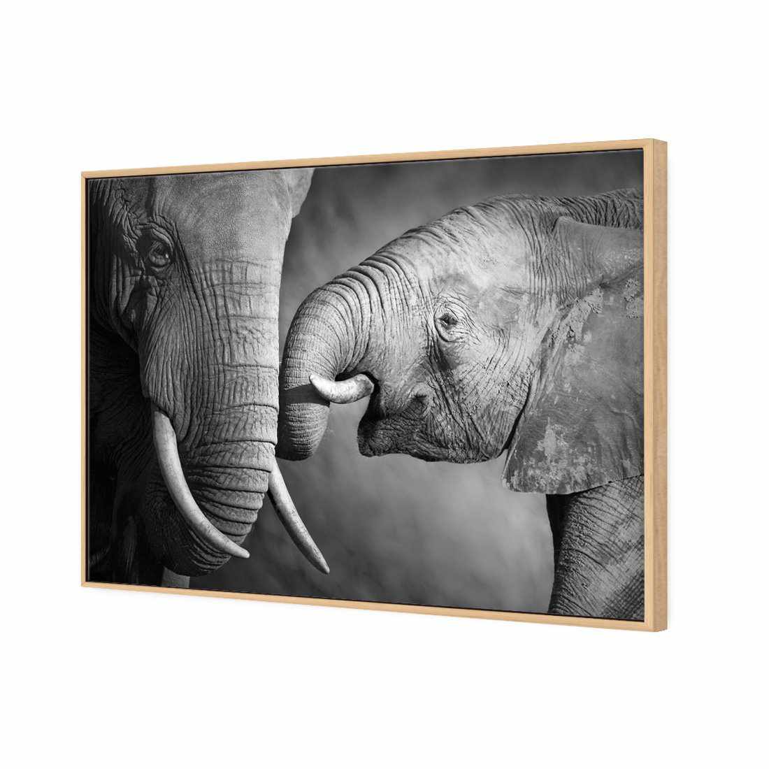 Elephant And Mum, B&W | Standard Canvas | Floating Frame | Oak