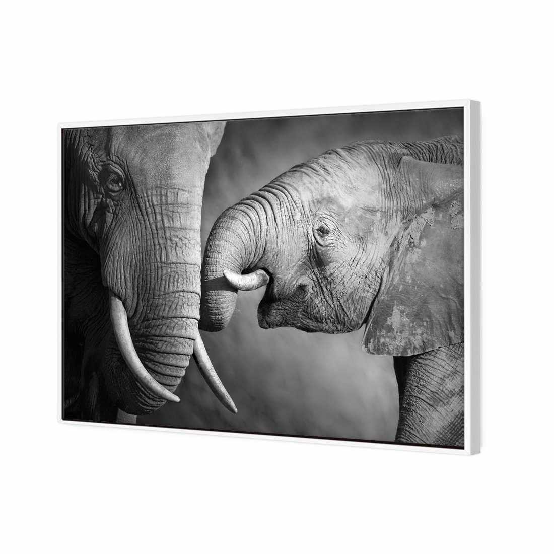 Elephant And Mum, B&W | Standard Canvas | Floating Frame | White