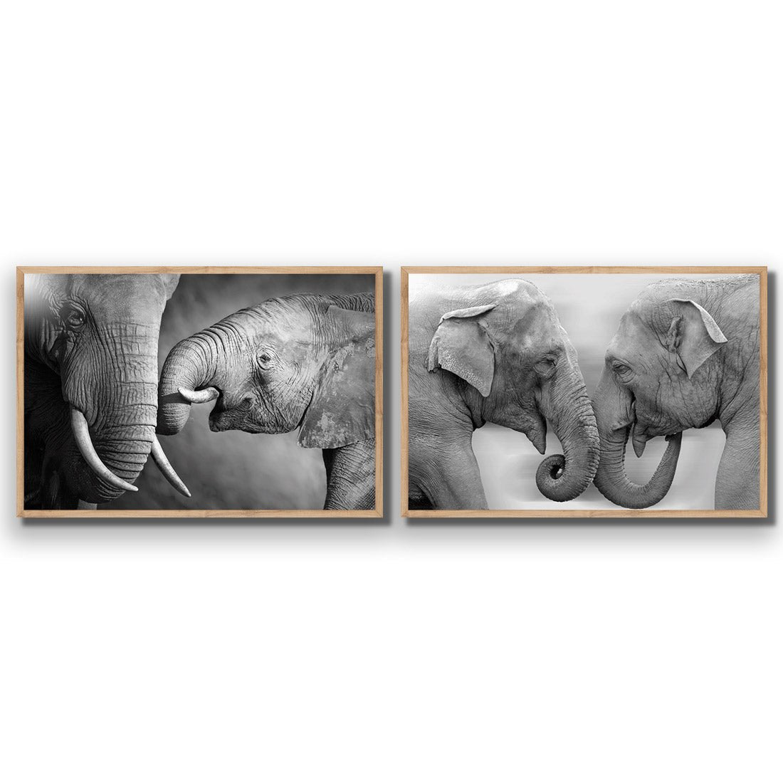 Elephant Family Perfect Pair - Wall Art Designs - SET2_5013_AR_H WAD_AP - 030 - EDG_45x30_S - 2538 - OAK