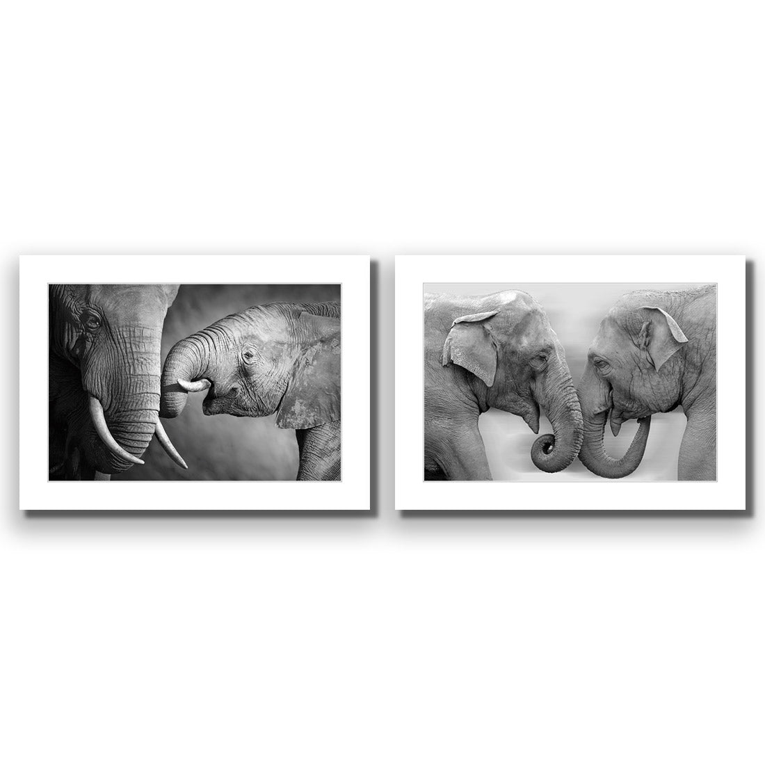 Elephant Family Perfect Pair - Wall Art Designs - SET2_5013_AR_H WAD_AP - 030 - MAT_45x30_NONE