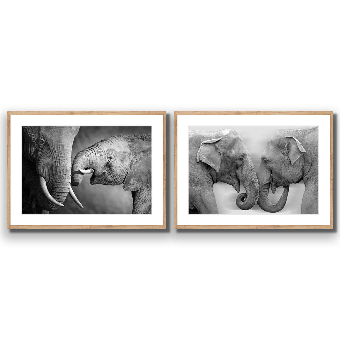 Elephant Family Perfect Pair - Wall Art Designs - SET2_5013_AR_H WAD_AP - 030 - MAT_45x30_S - 2538 - OAK