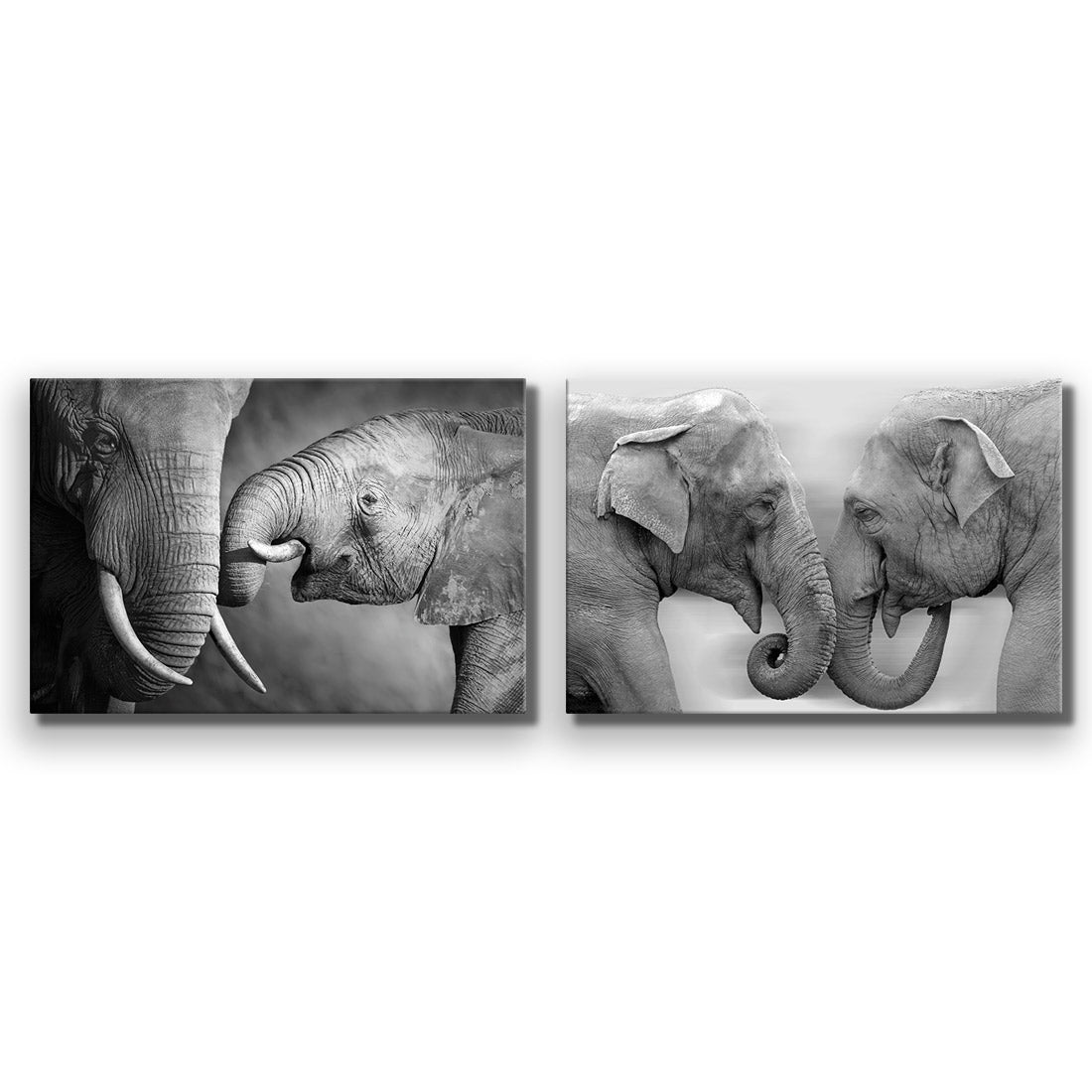 Elephant Family Perfect Pair - Wall Art Designs - SET2_5013_AR_H WAD_CP - MPY - 260 - M - S - S_45x30_NONE