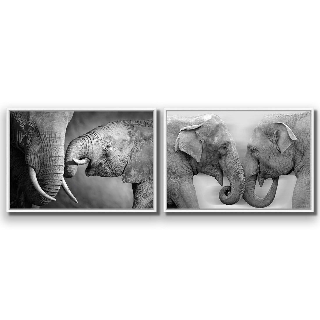 Elephant Family Perfect Pair - Wall Art Designs - SET2_5013_AR_H WAD_CP - MPY - 260 - M - S - S_45x30_S - 1550 - WHT