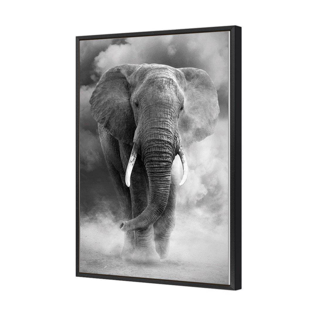 Elephant In Dust, B&W | Standard Canvas | Floating Frame | Black