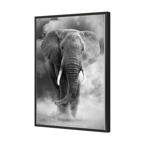 Elephant In Dust, B&W | Standard Canvas | Floating Frame | Black
