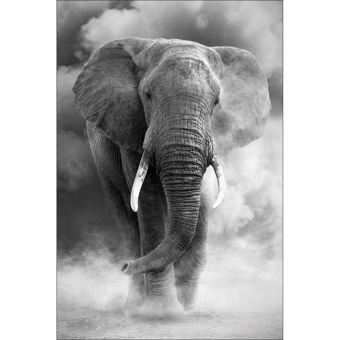 Elephant In Dust, B&W Canvas Art - Wall Art Designs - 1487_BR_V WAD_CP - MPY - 260 - M - S - S_45x30_NONE