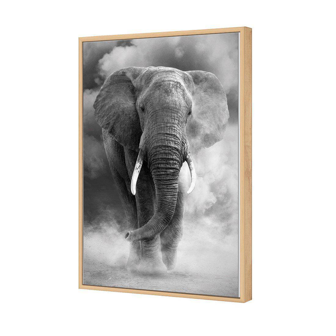 Elephant In Dust, B&W Canvas Art - Wall Art Designs - 1487_BR_V WAD_CP - MPY - 260 - M - S - S_45x30_S - 1550 - OAK