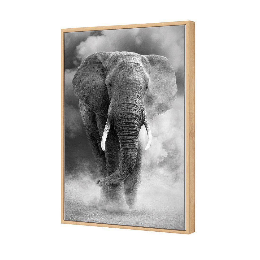 Elephant In Dust, B&W | Standard Canvas | Floating Frame | Oak