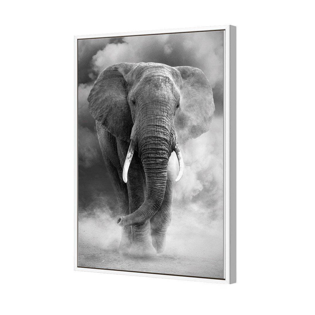 Elephant In Dust, B&W | Standard Canvas | Floating Frame | White