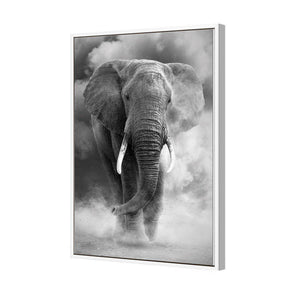 Elephant In Dust, B&W | Standard Canvas | Floating Frame | White