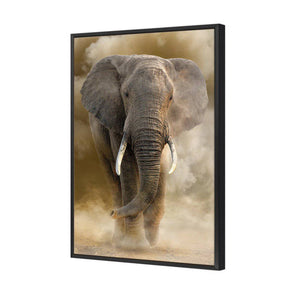 Elephant In Dust | Standard Canvas | Floating Frame | Black