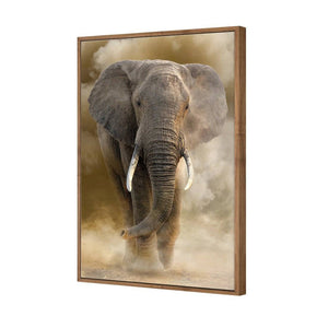 Elephant In Dust | Standard Canvas | Floating Frame | Natural