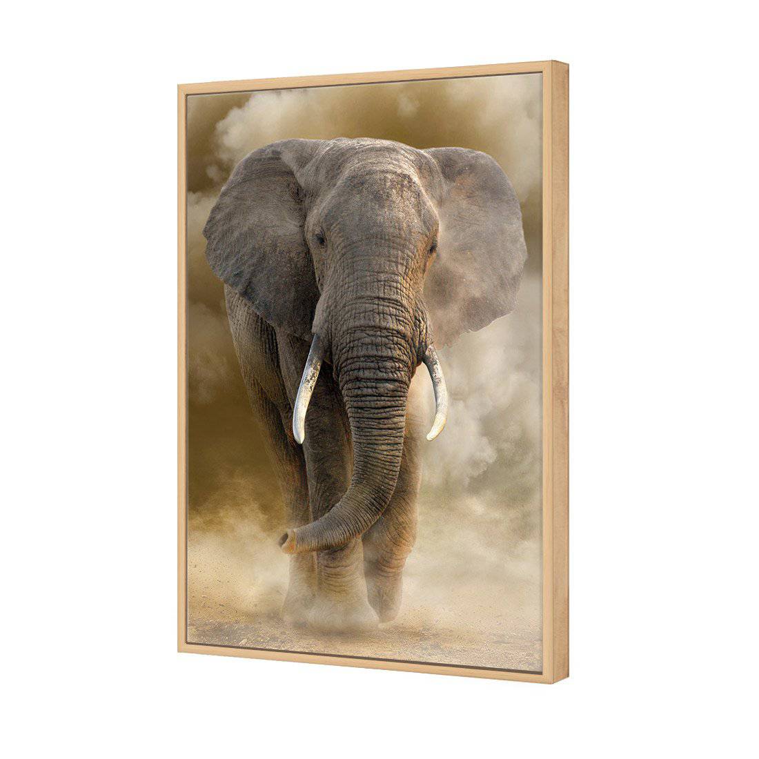 Elephant In Dust | Standard Canvas | Floating Frame | Oak