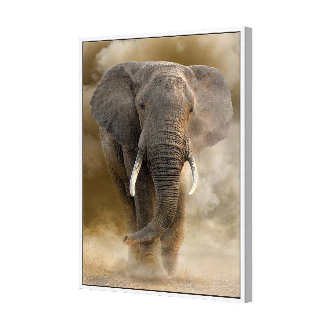 Elephant In Dust | Standard Canvas | Floating Frame | White