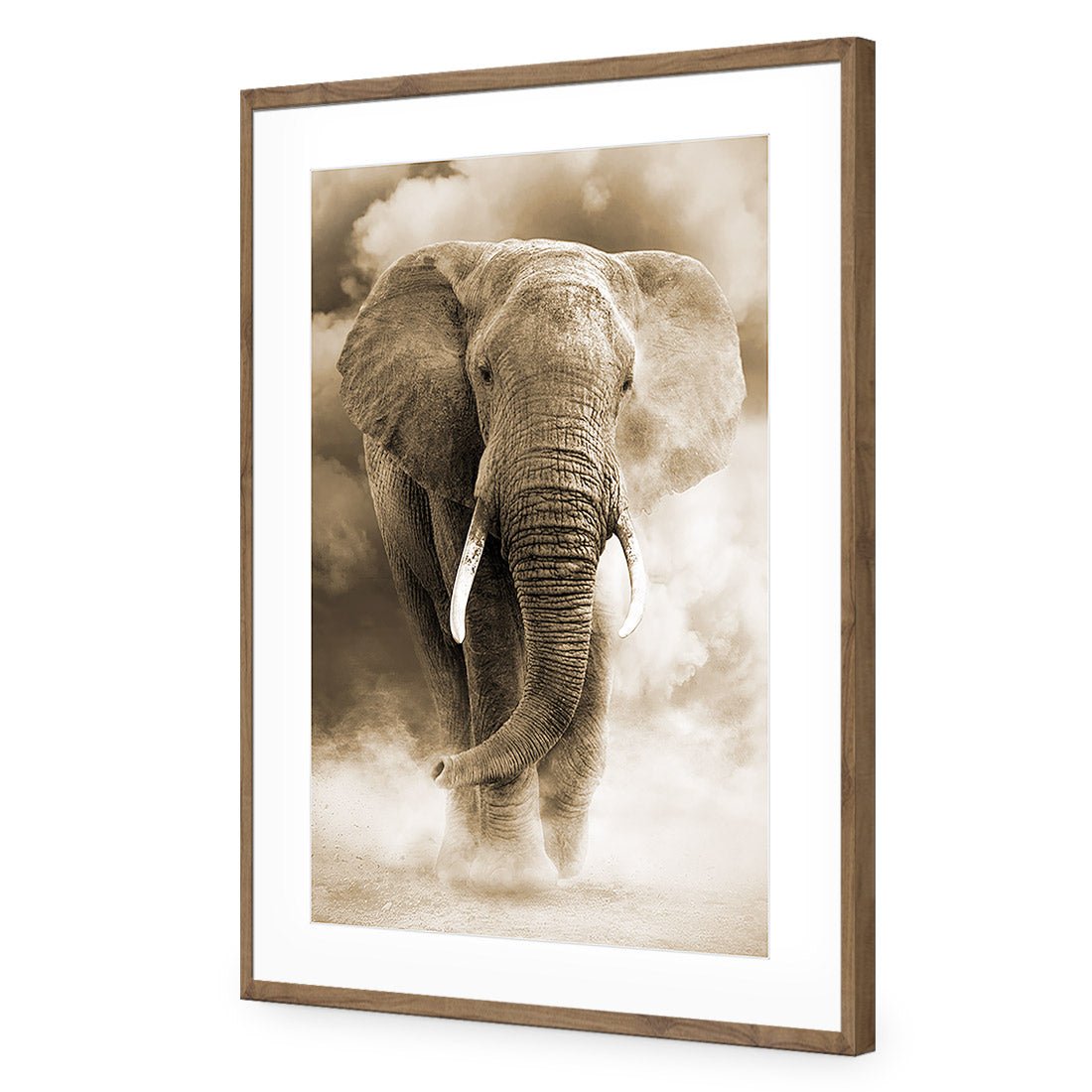 Elephant in Dust, Sepia - Wall Art Designs - 1487_CR_V WAD_AP - 030 - MAT_45x30_S - 2538 - NAT