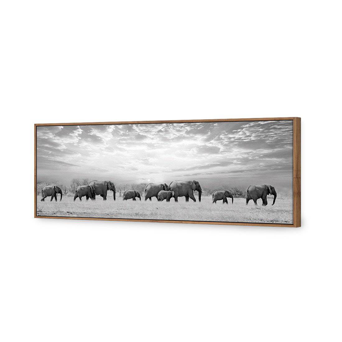 Elephant Trail, B&W | Classic Canvas | Floating Frame | Natural
