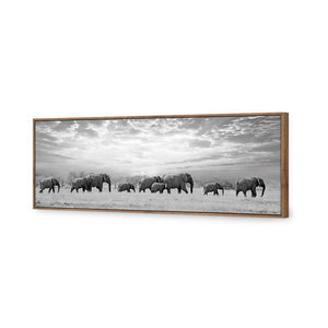 Elephant Trail, B&W | Classic Canvas | Floating Frame | Natural