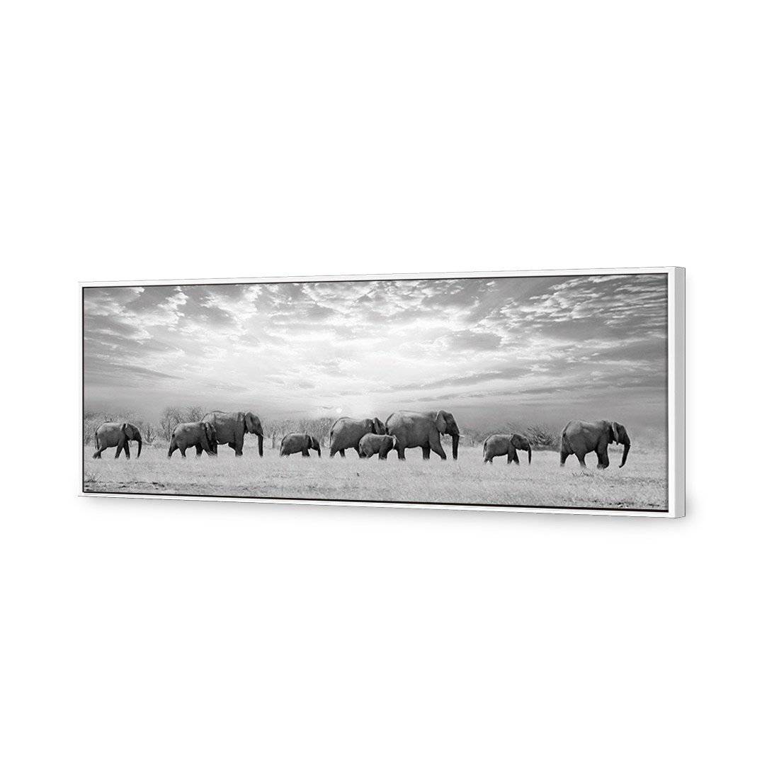 Elephant Trail, B&W | Classic Canvas | Floating Frame | White