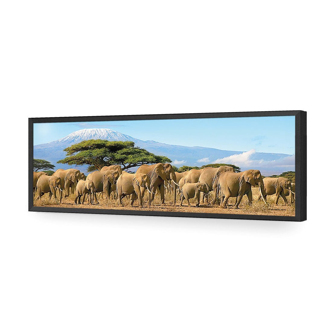 Elephant Under Savannah (Long) - Wall Art Designs - 1203_AL_H WAD_AP - 030 - EDG_90x30_S - 2538 - BLK