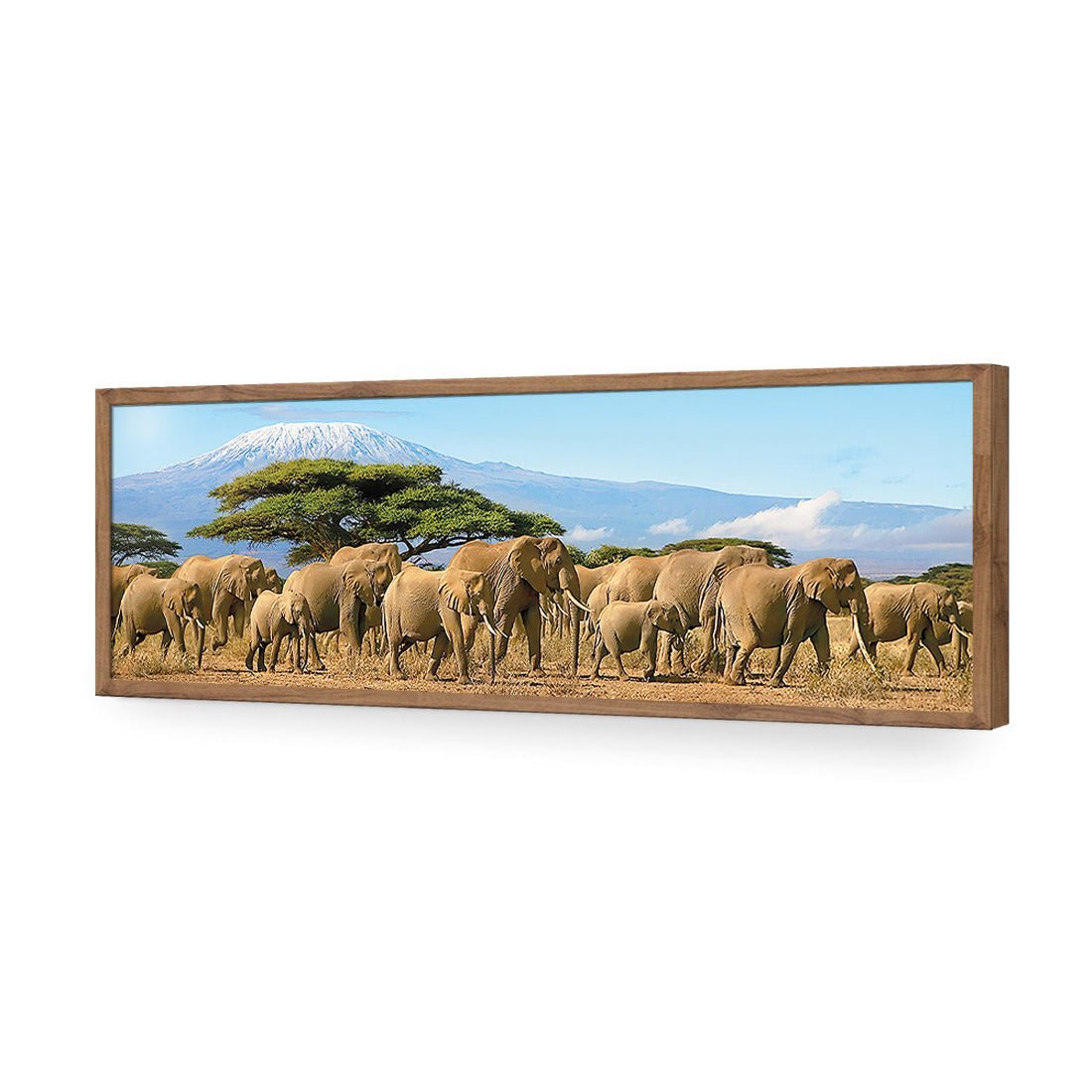 Elephant Under Savannah (Long) - Wall Art Designs - 1203_AL_H WAD_AP - 030 - EDG_90x30_S - 2538 - NAT