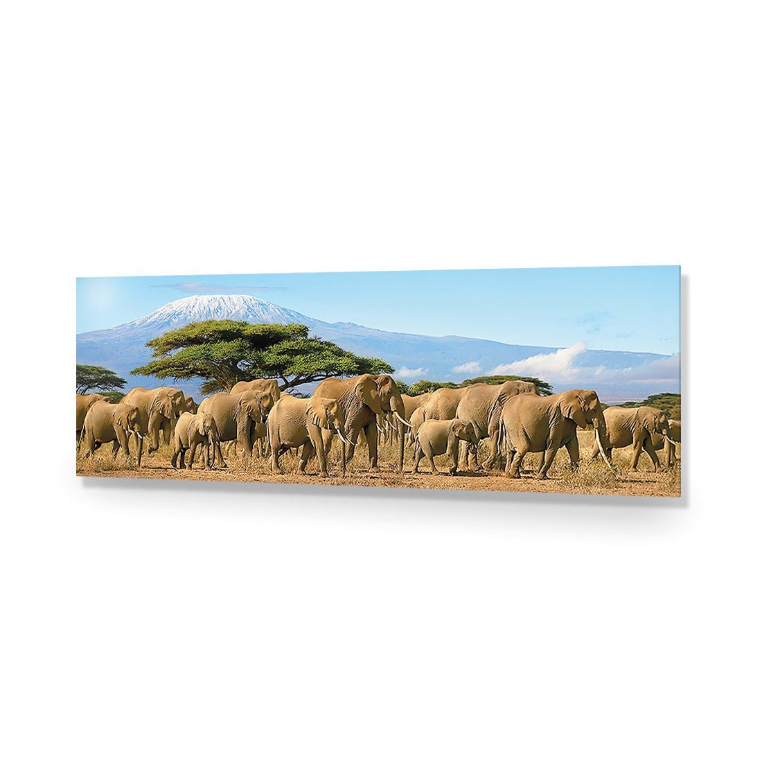 Elephant Under Savannah (Long) - Wall Art Designs - 1203_AL_H WAD_AP - 030 - EDG_90x30_NONE