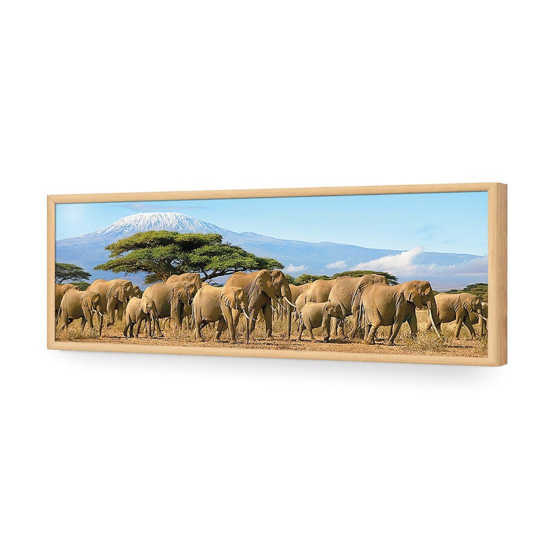 Elephant Under Savannah (Long) - Wall Art Designs - 1203_AL_H WAD_AP - 030 - EDG_90x30_S - 2538 - OAK