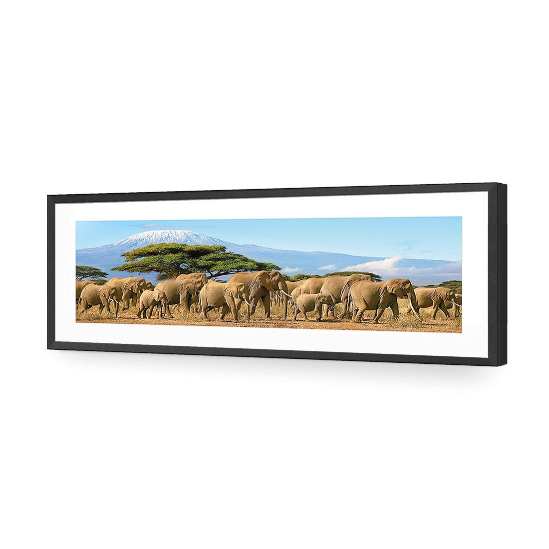 Elephant Under Savannah (Long) - Wall Art Designs - 1203_AL_H WAD_AP - 030 - MAT_90x30_S - 2538 - BLK