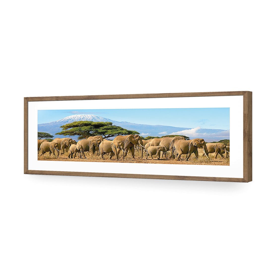 Elephant Under Savannah (Long) - Wall Art Designs - 1203_AL_H WAD_AP - 030 - MAT_90x30_S - 2538 - NAT