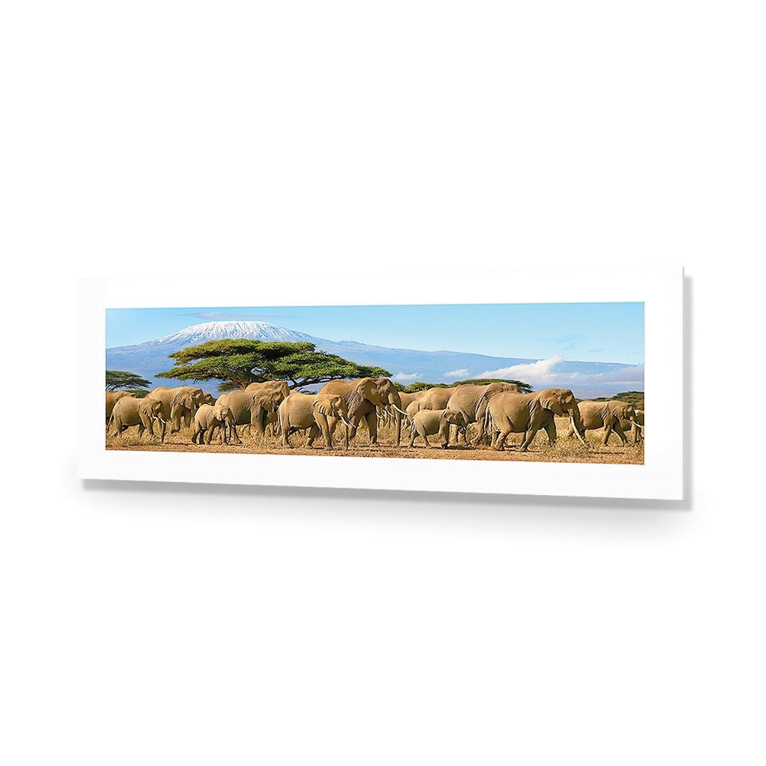 Elephant Under Savannah (Long) - Wall Art Designs - 1203_AL_H WAD_AP - 030 - MAT_90x30_NONE