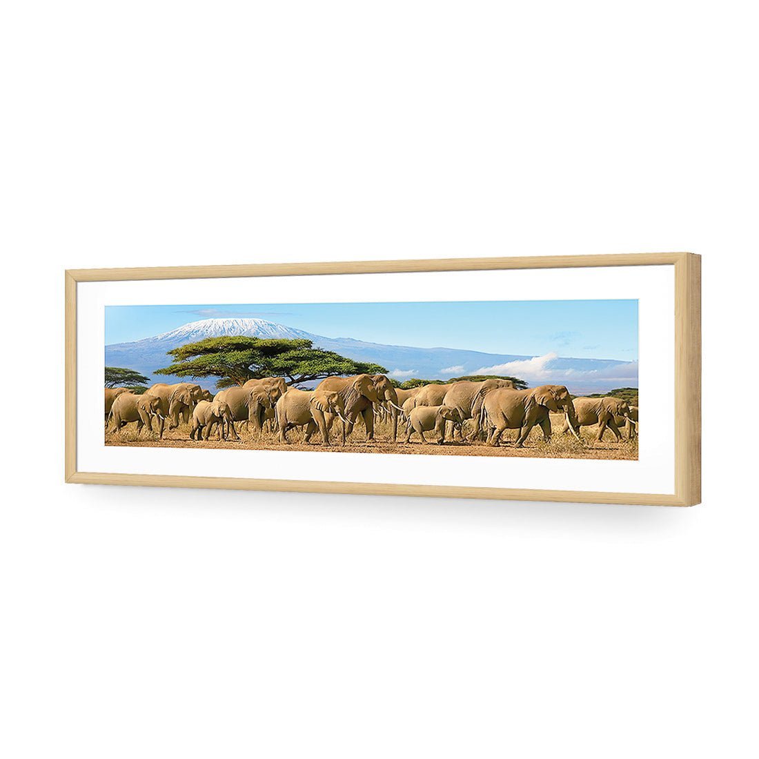 Elephant Under Savannah (Long) - Wall Art Designs - 1203_AL_H WAD_AP - 030 - MAT_90x30_S - 2538 - OAK