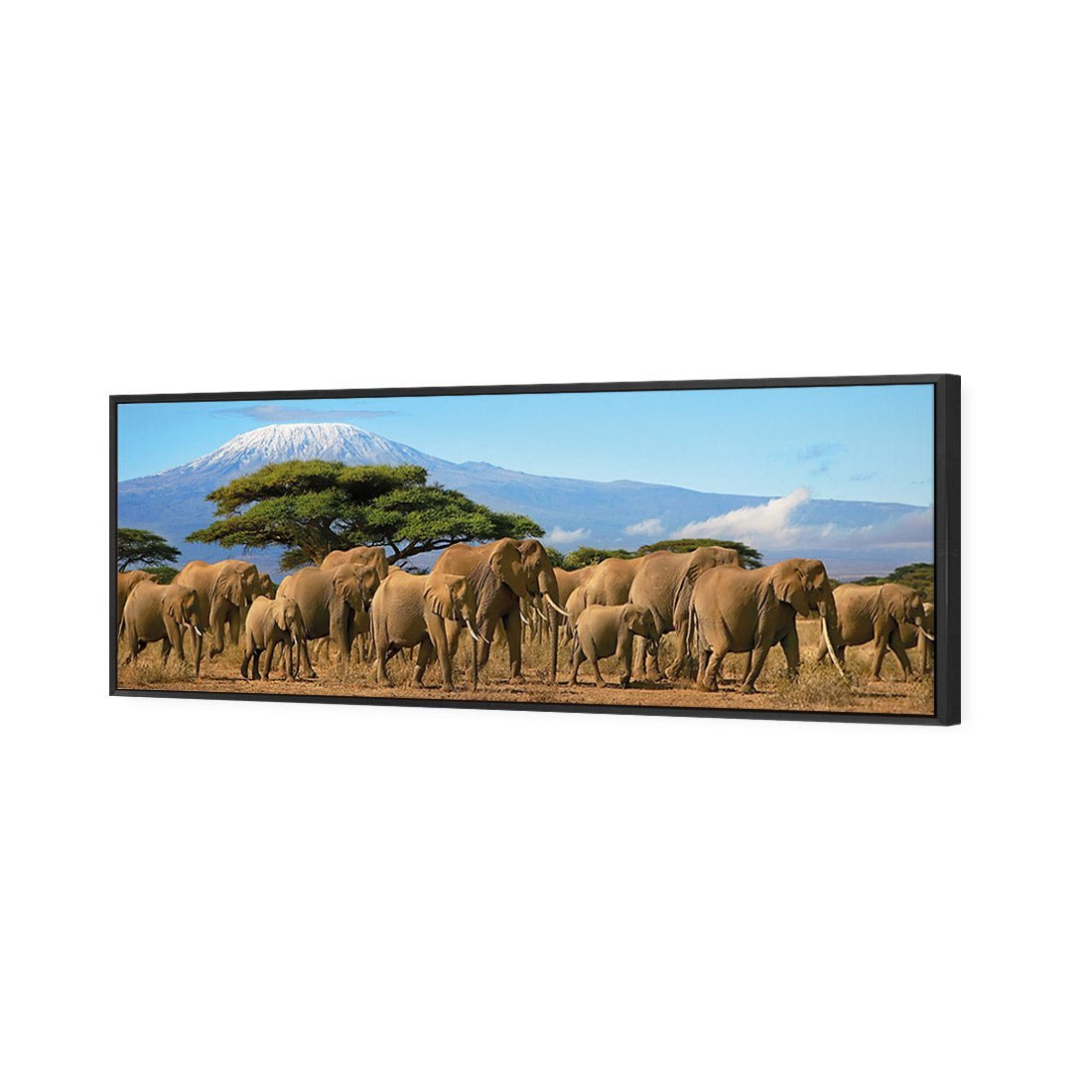 Elephant Under Savannah (Long) - Wall Art Designs - 1203_AL_H WAD_CP - MPY - 260 - M - S - S_60x20_S - 1550 - BLK