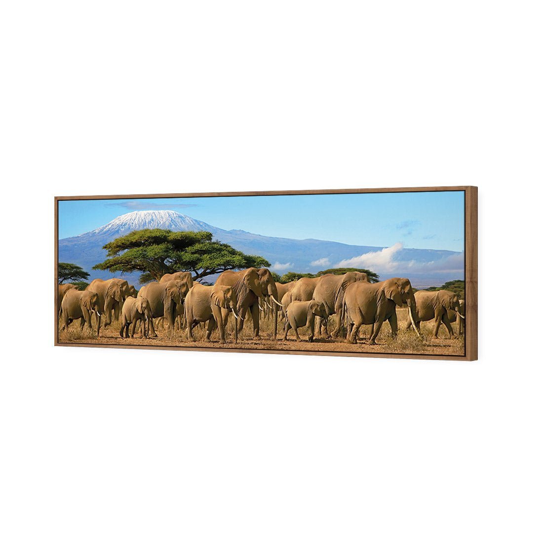 Elephant Under Savannah (Long) - Wall Art Designs - 1203_AL_H WAD_CP - MPY - 260 - M - S - S_60x20_S - 1550 - NAT