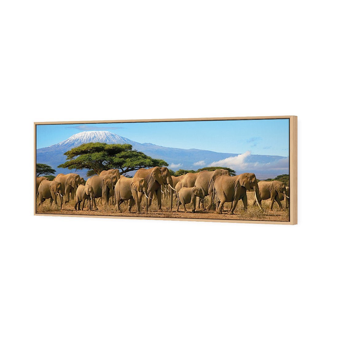 Elephant Under Savannah (Long) - Wall Art Designs - 1203_AL_H WAD_CP - MPY - 260 - M - S - S_60x20_S - 1550 - OAK