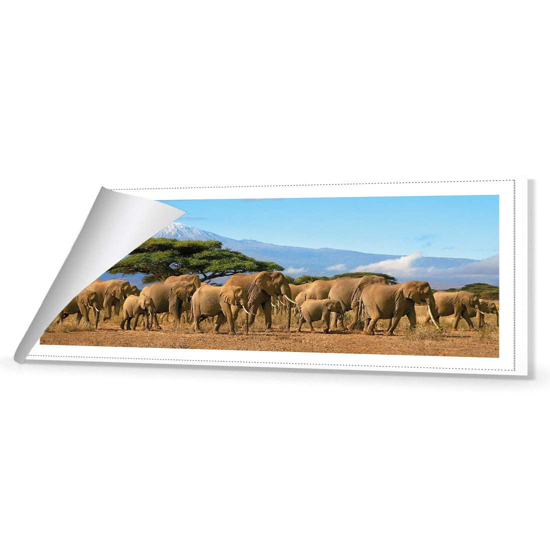 Elephant Under Savannah (Long) - Wall Art Designs - 1203_AL_H WAD_CP - MPY - 260 - M - R_60x20_NONE