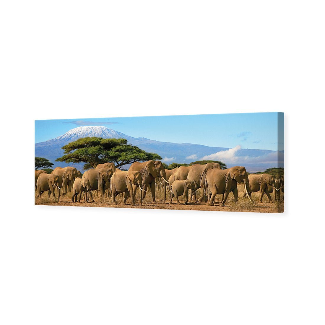 Elephant Under Savannah (Long) - Wall Art Designs - 1203_AL_H WAD_CP - MPY - 260 - M - S - S_60x20_NONE