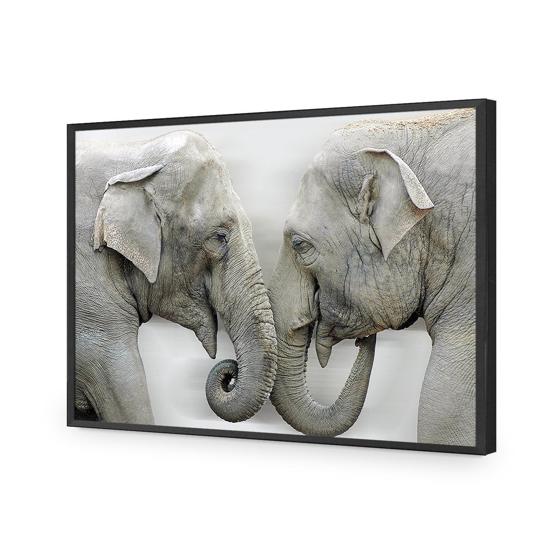 Elephants Kissing - Wall Art Designs - 1241_AR_H WAD_AP - 030 - EDG_45x30_S - 2538 - BLK