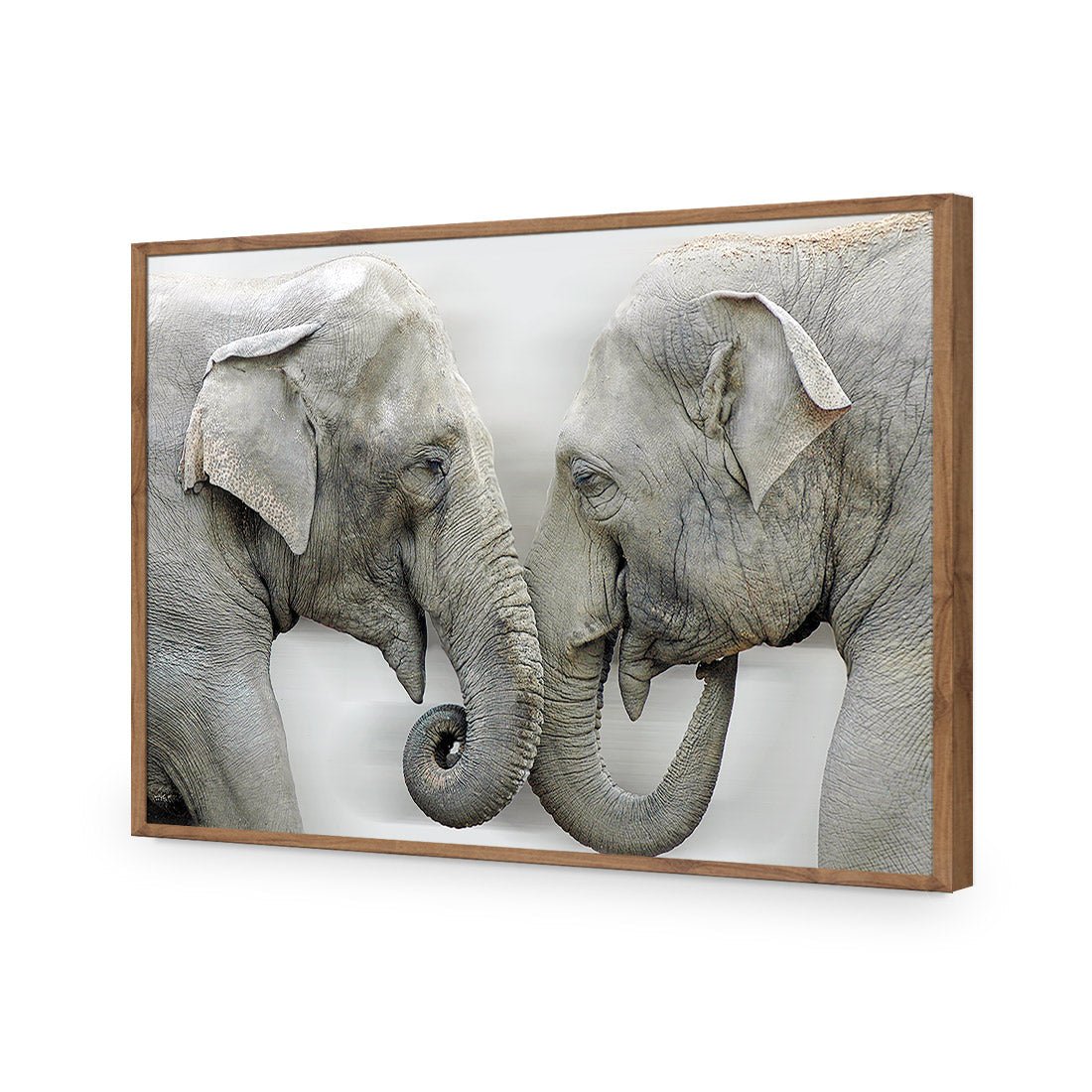 Elephants Kissing - Wall Art Designs - 1241_AR_H WAD_AP - 030 - EDG_45x30_S - 2538 - NAT