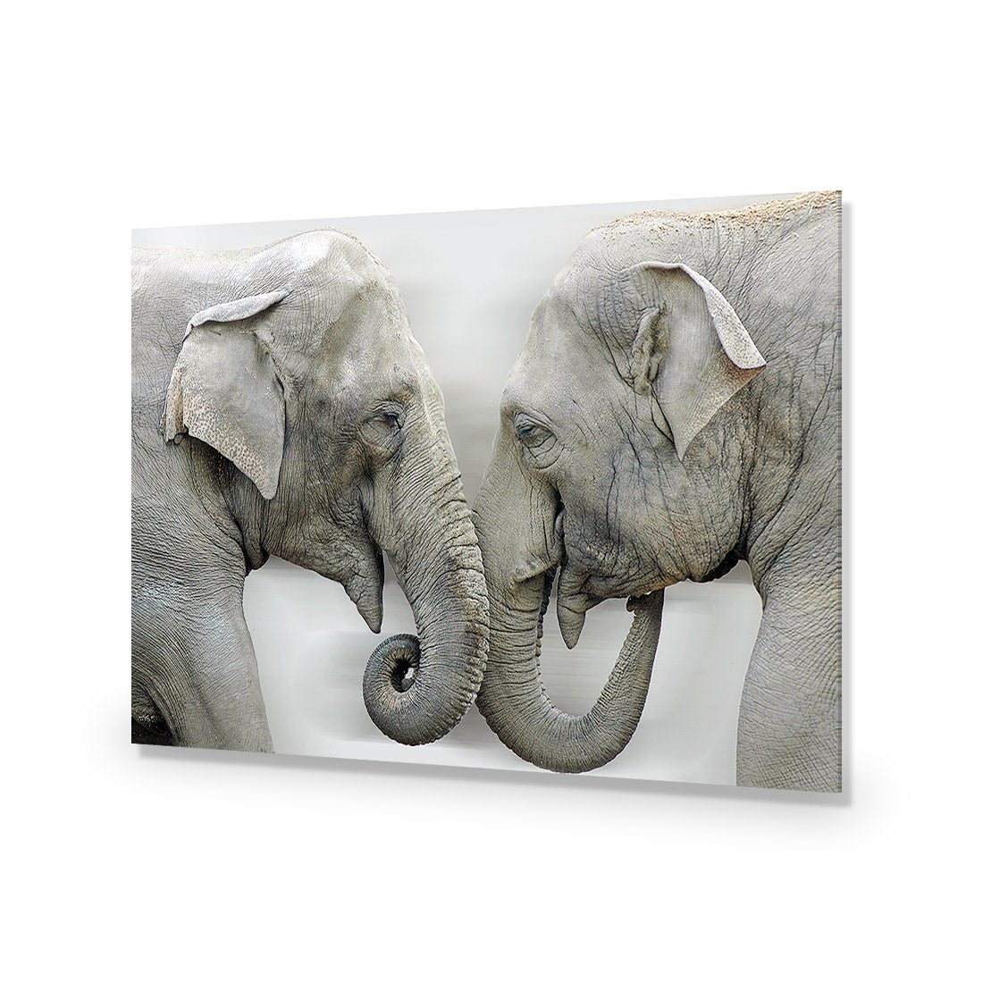 Elephants Kissing - Wall Art Designs - 1241_AR_H WAD_AP - 030 - EDG_45x30_NONE