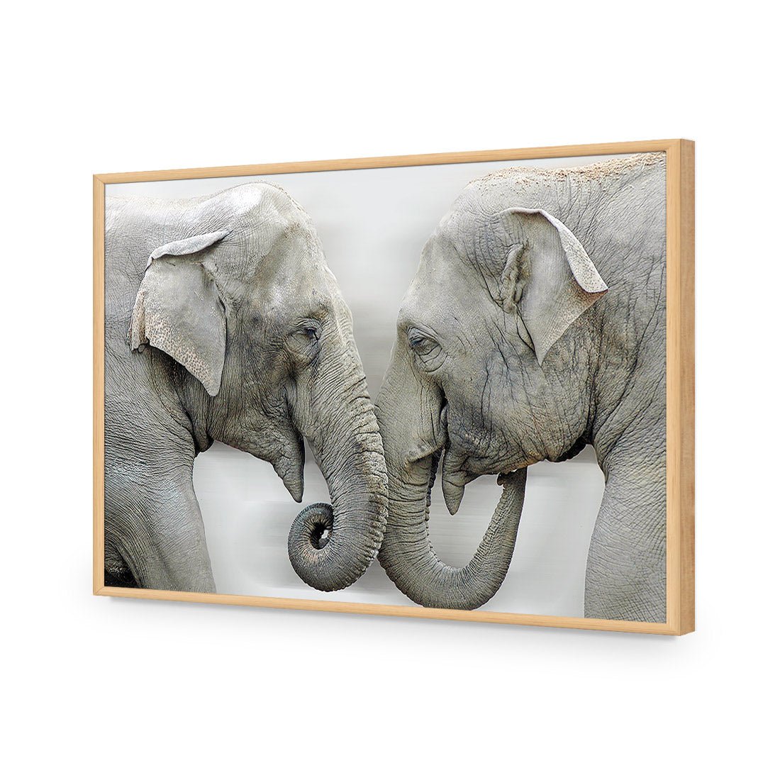 Elephants Kissing - Wall Art Designs - 1241_AR_H WAD_AP - 030 - EDG_45x30_S - 2538 - OAK