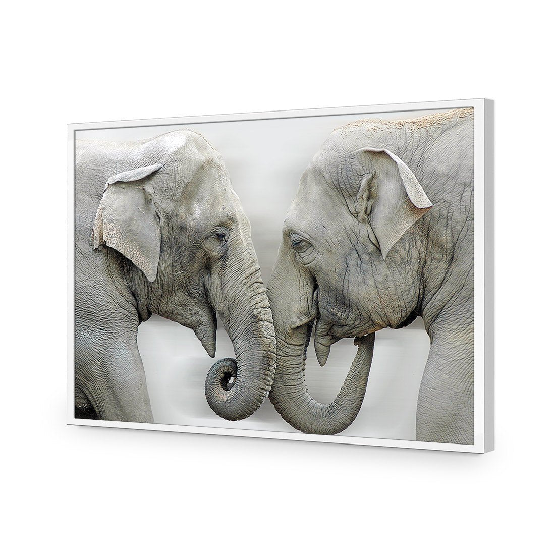 Elephants Kissing - Wall Art Designs - 1241_AR_H WAD_AP - 030 - EDG_45x30_S - 2538 - WHT