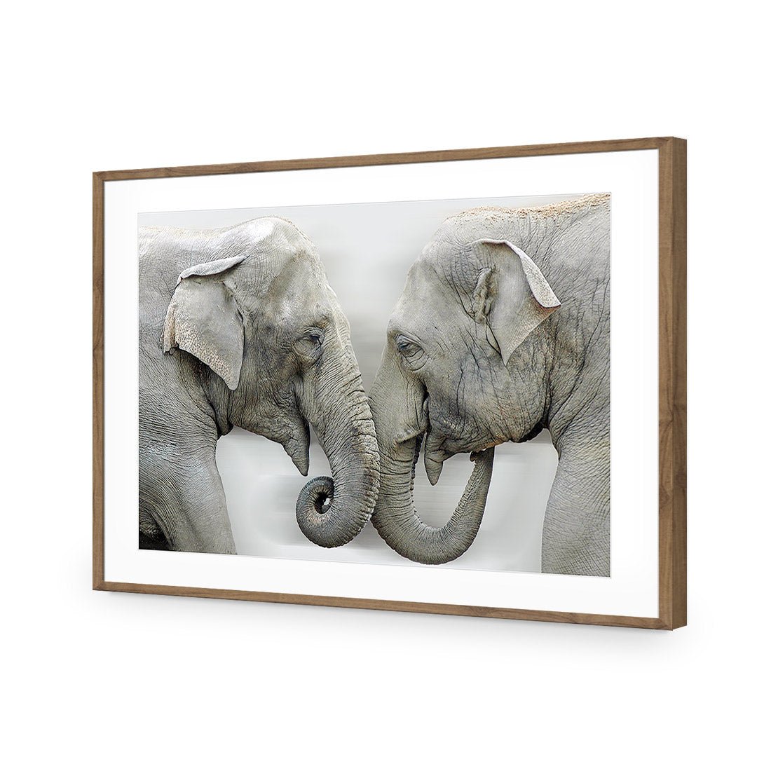 Elephants Kissing - Wall Art Designs - 1241_AR_H WAD_AP - 030 - MAT_45x30_S - 2538 - NAT