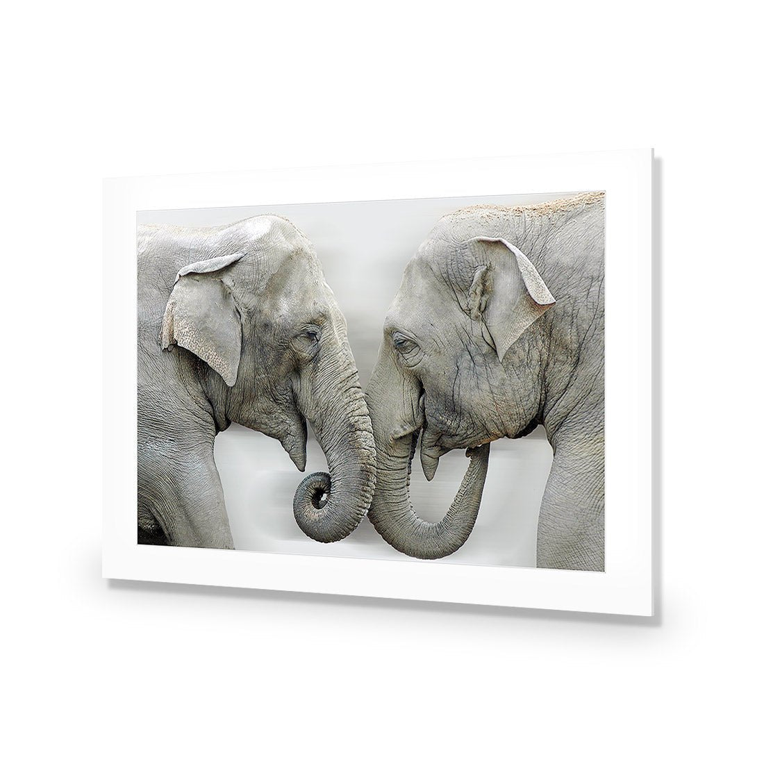 Elephants Kissing - Wall Art Designs - 1241_AR_H WAD_AP - 030 - MAT_45x30_NONE