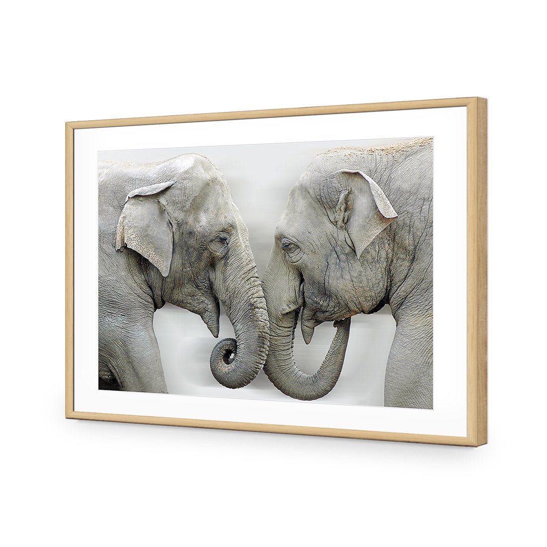 Elephants Kissing - Wall Art Designs - 1241_AR_H WAD_AP - 030 - MAT_45x30_S - 2538 - OAK