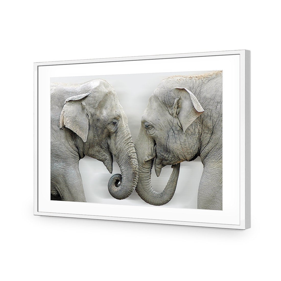 Elephants Kissing - Wall Art Designs - 1241_AR_H WAD_AP - 030 - MAT_45x30_S - 2538 - WHT