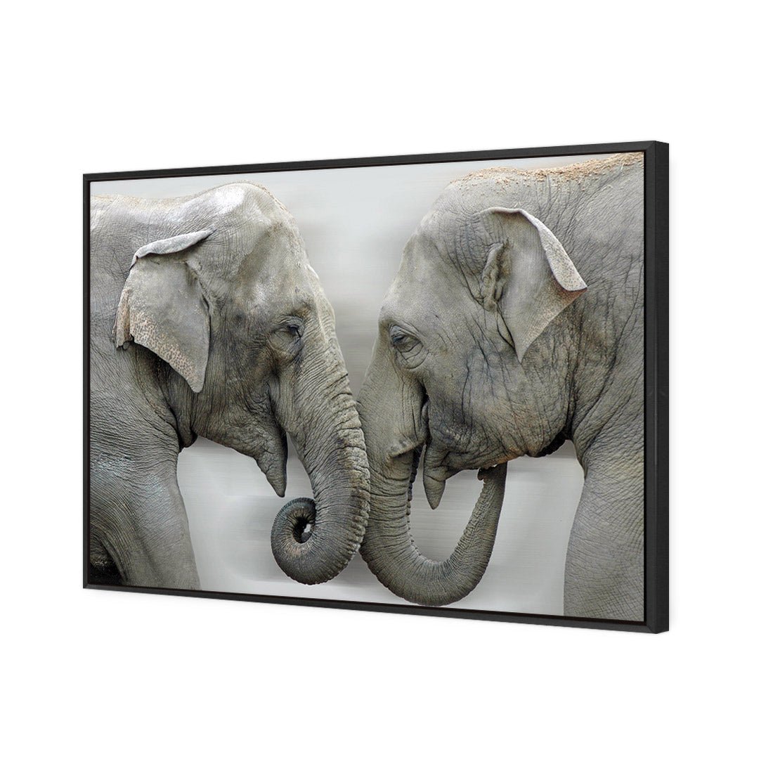 Elephants Kissing - Wall Art Designs - 1241_AR_H WAD_CP - MPY - 260 - M - S - S_45x30_S - 1550 - BLK