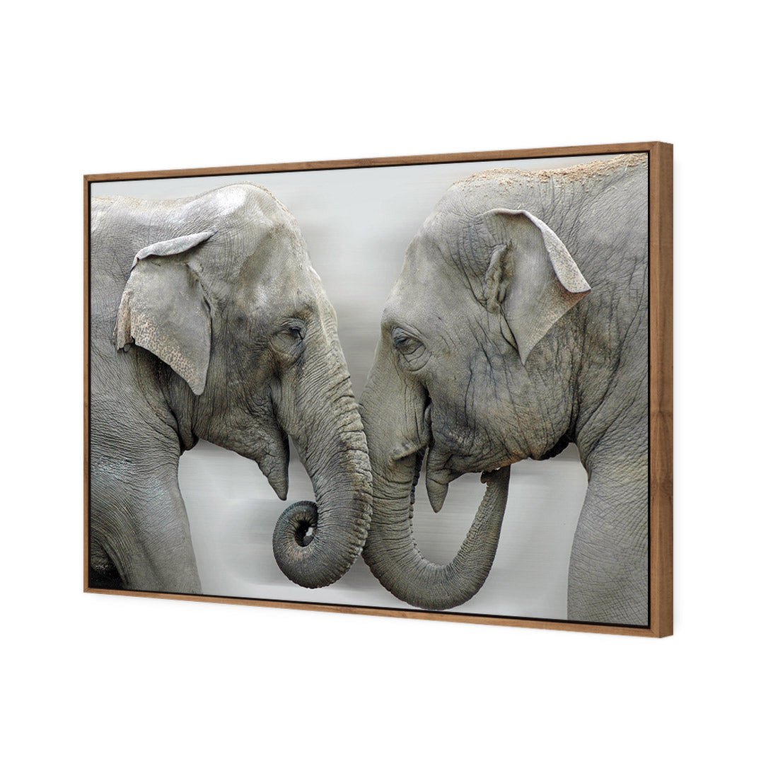 Elephants Kissing - Wall Art Designs - 1241_AR_H WAD_CP - MPY - 260 - M - S - S_45x30_S - 1550 - NAT