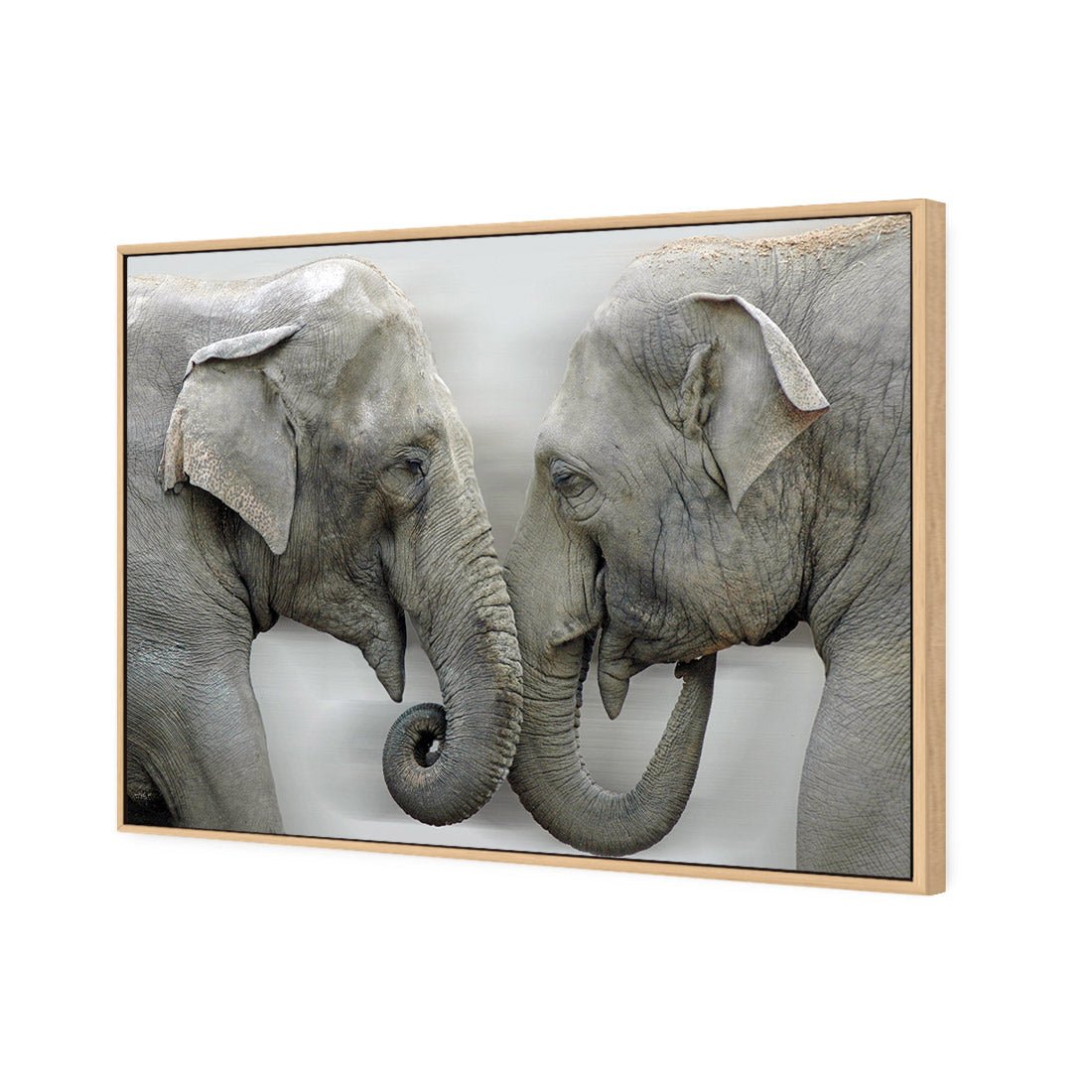 Elephants Kissing - Wall Art Designs - 1241_AR_H WAD_CP - MPY - 260 - M - S - S_45x30_S - 1550 - OAK