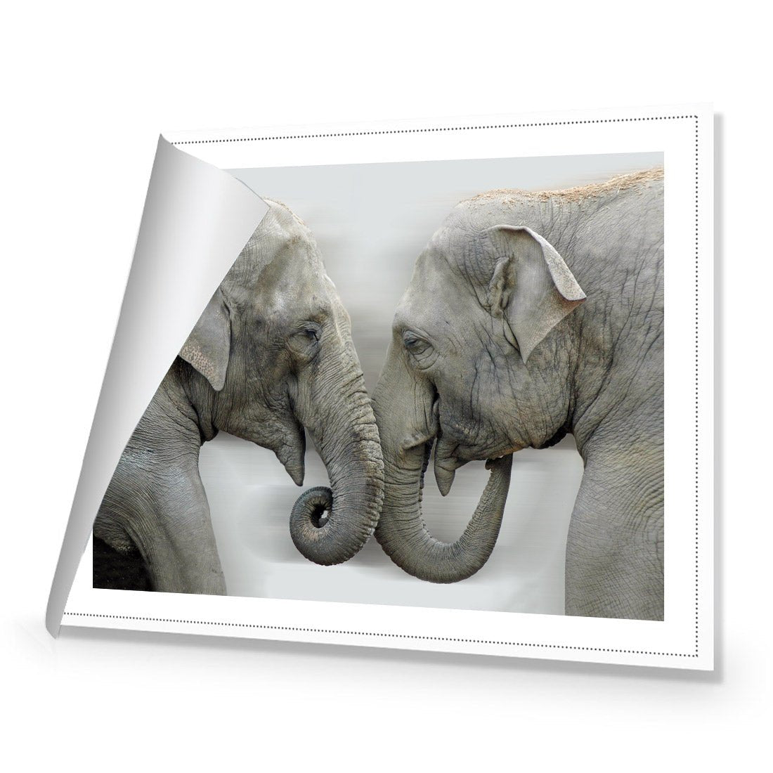 Elephants Kissing - Wall Art Designs - 1241_AR_H WAD_CP - MPY - 260 - M - R_45x30_NONE