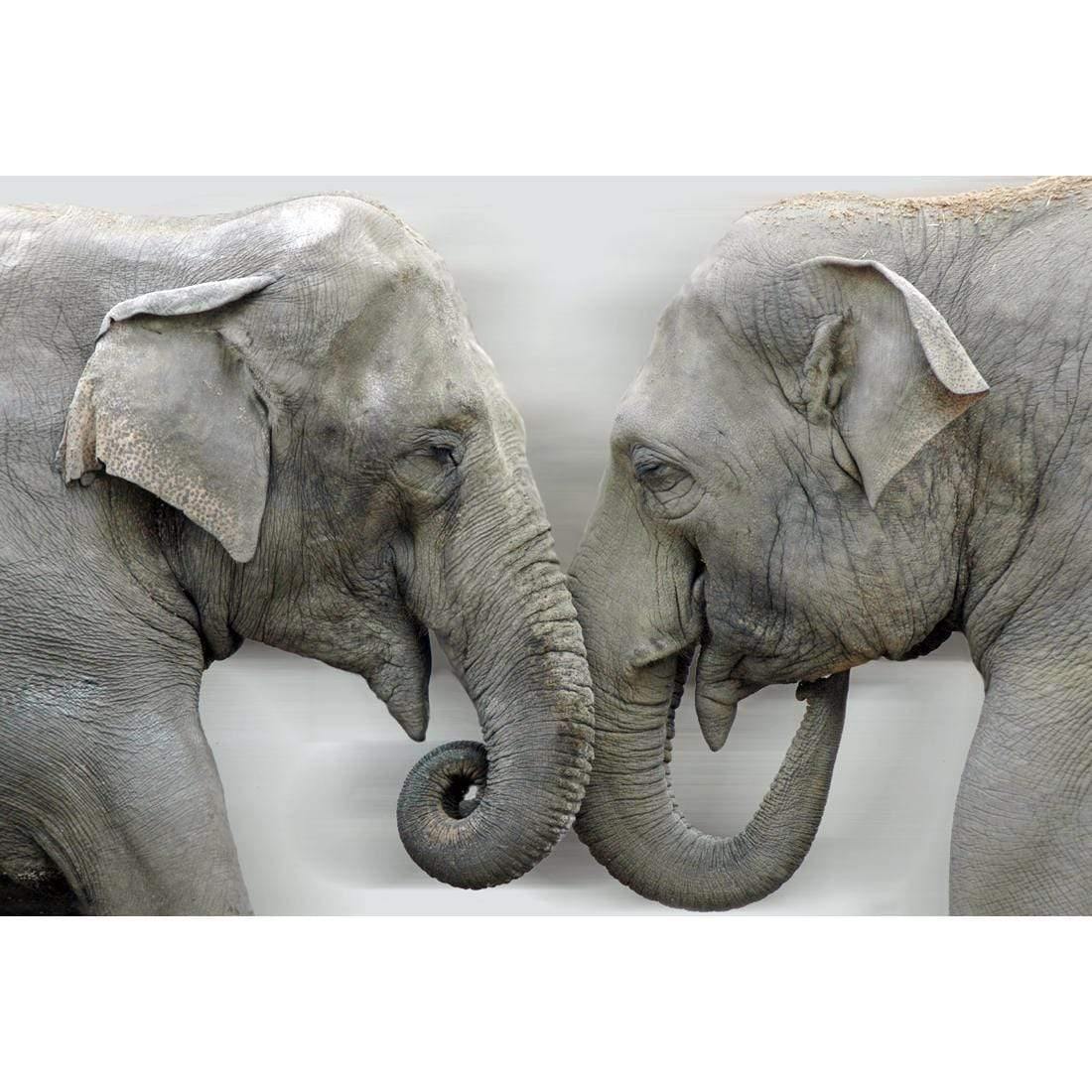 Elephants Kissing - Wall Art Designs - 1241_AR_H WAD_CP - MPY - 260 - M - S - S_45x30_NONE